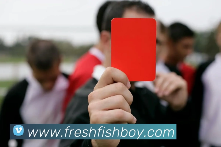 辅助工具 辅助工具